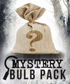 EmazingLights Mystery Bulb Pack